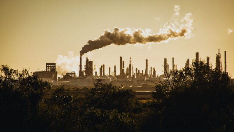 Envisioning Earth in 2050: A Glimpse into the Future (C1)