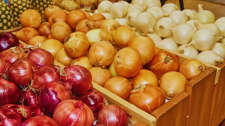 Deep Dive into the World of Onions (B2)